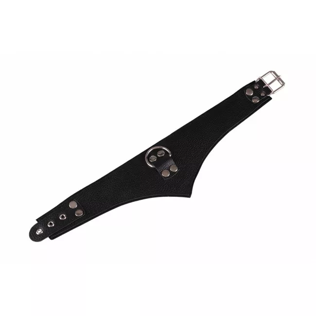 obroza bdsm 4