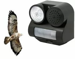 Odstraszacz ptaków kun i innych dzikich zwierząt błyskowo dźwiękowy odgłosy drapieżnych ptaków