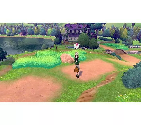 pokemon shield screen z gry 4