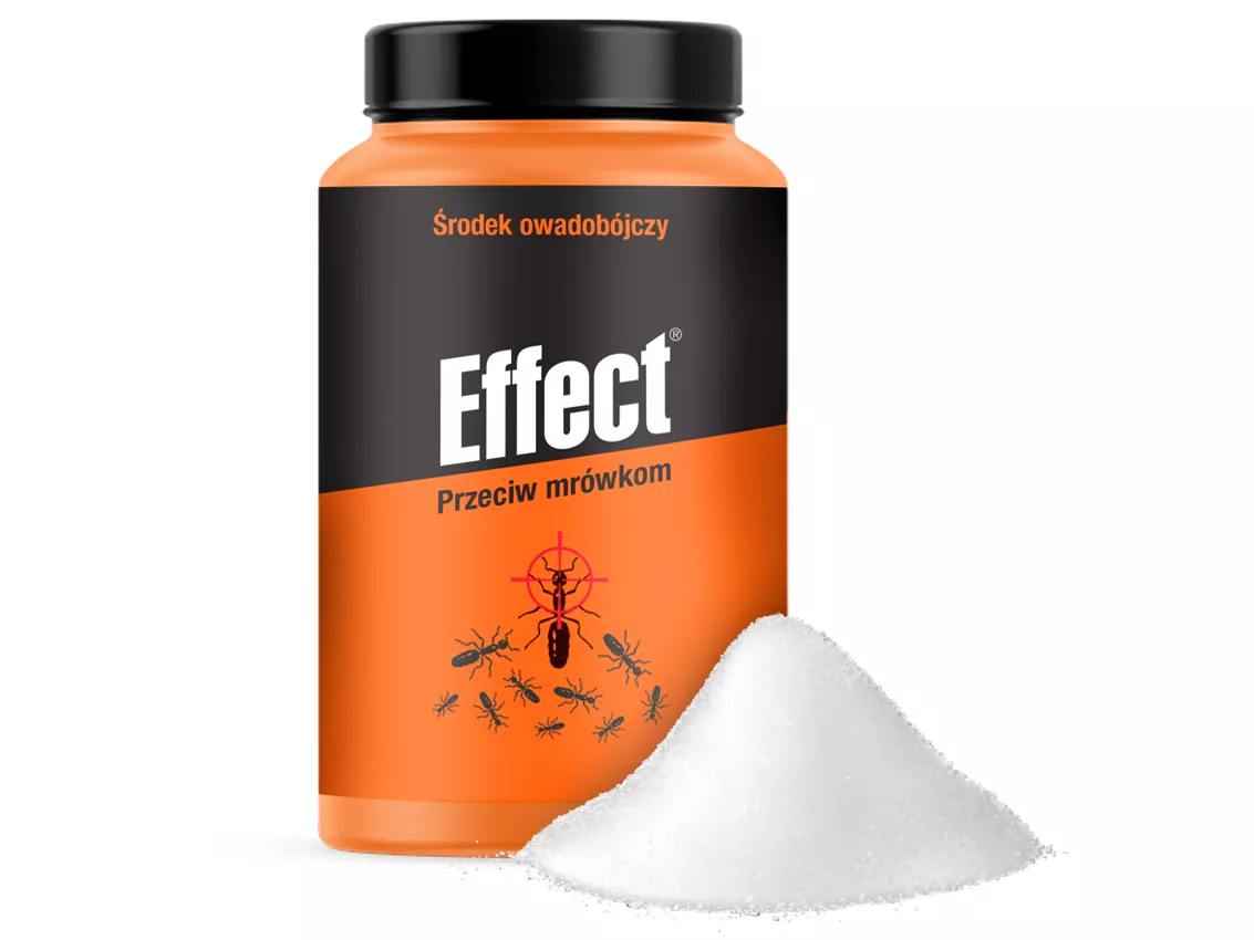effect na pluskwy
