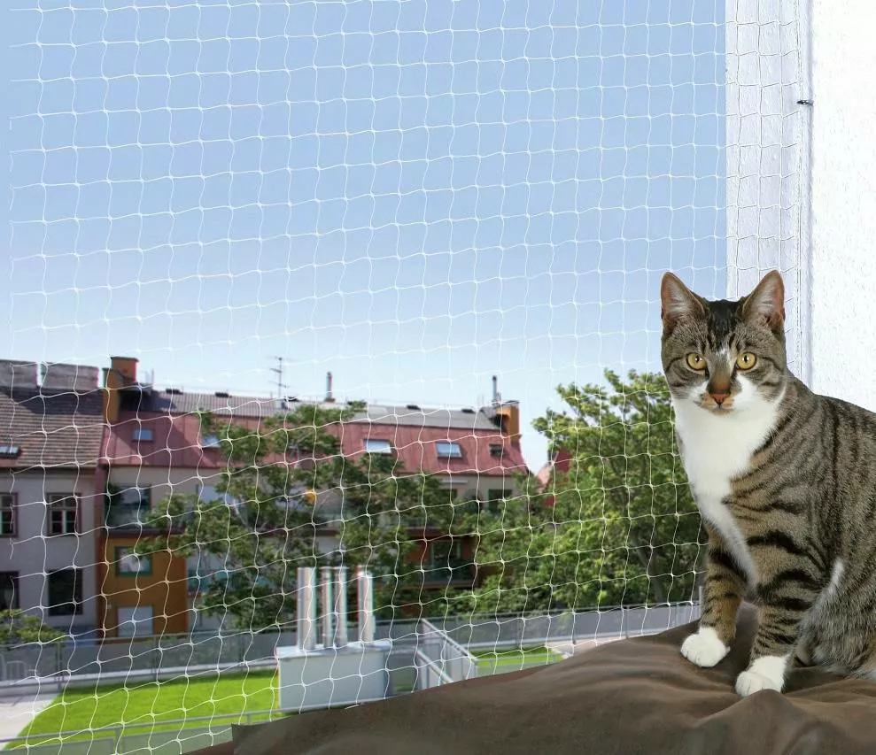 siatka na balkon dla kota