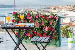 Skrzynki na kwiaty Minigarden zielone prezentacja umieszczenia kwiatów oraz propozycja ustawienia na balkonie Skrzynki na kwiaty Minigarden zielone prezentacja umieszczenia kwiatów oraz propozycja ustawienia na balkonie