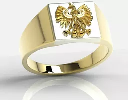 Sygnet z żółtego i białego złota Sygnet z żółtego i białego złota