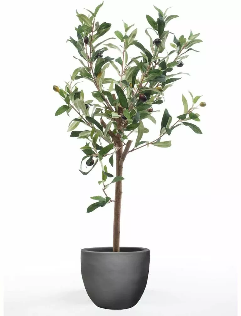 sztuczne miniaturowe drzewko oliwne 65 cm