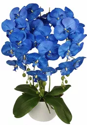 Sztuczny storczyk z kwiatami koloru niebieskiego w doniczce