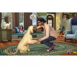 The Sims 4 Psy i Koty screen z gry 4
