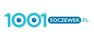 logo 1001soczewek.pl