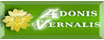 logo adonisvernalis.pl