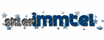 logo IMMTEL