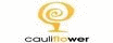 logo cauliflower.pl