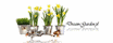 logo Dream-Garden.pl