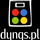 logo dyngs.pl