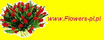 logo FLOWERS-Polska