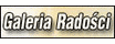 logo Galeria Radości