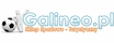 logo Galineo.pl 
