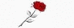 logo LA ROSA