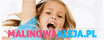 logo Malinowa Aleja