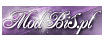 logo ModBiS