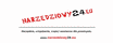 logo Narzedziowy24.eu