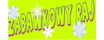 logo Zabawkowy Raj