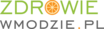 logo Zdrowiewmodzie.pl