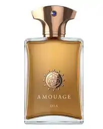 Amouage Iconic Dia Man Woda perfumowana 100 ml