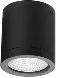 AZzardo Lampa sufitowa CONYON IP54 10W CCT SWITCH BK AZ6025