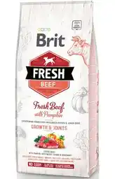 Brit Karma dla psa Fresh Puppy&Junior Large Beef Wołowina z dynią 12 kg