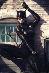 Catwoman plakat