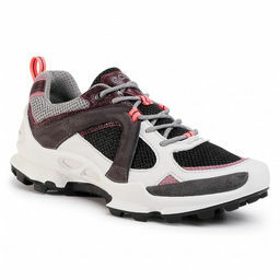 Ecco Biom C-Trail