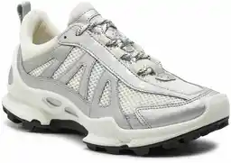 Ecco Biom C-Trail