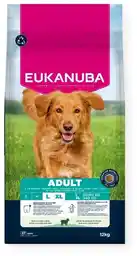Eukanuba Karma dla psa Adult Large Breed Jagnięcina 12 kg