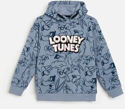 Looney Tunes bluza