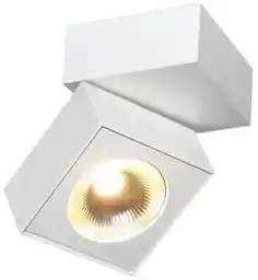 MaxLight Oprawa sufitowa biała techniczna ARTU C0106