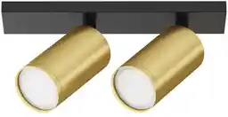 Maytoni Lampa sufitowa FOCUS S C051CL-U-02BMG