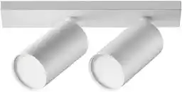Maytoni Lampa sufitowa FOCUS S C051CL-U-2W