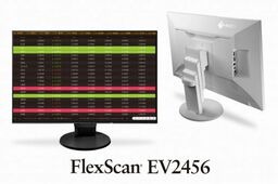 Monitor LCD Eizo