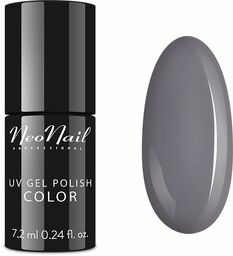 Neonail Silver Grey