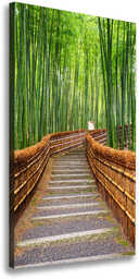 Obraz bambus