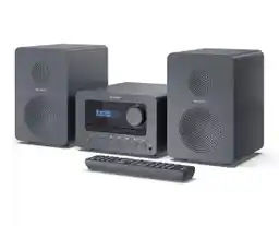 Sharp TOKYO XL-B514 20W Bluetooth Radio FM Szary Mikro i mini wieża