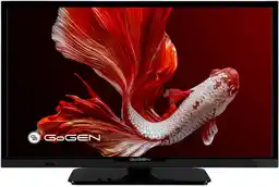 Telewizory GoGEN TVH24P352T