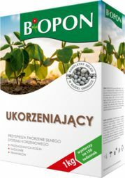 Ukorzeniacze