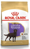 Karma dla labradora Royal Canin