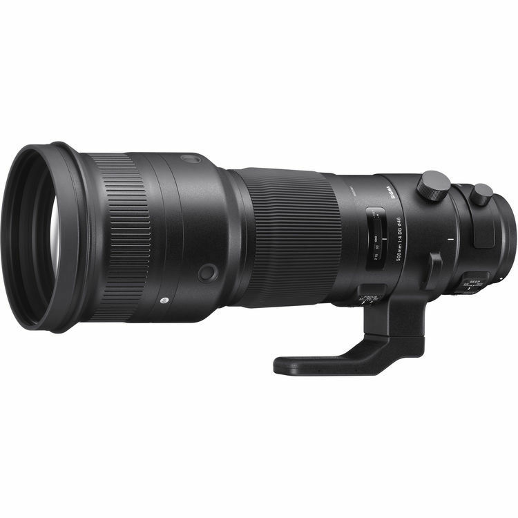 Canon 500mm Canon 500mm