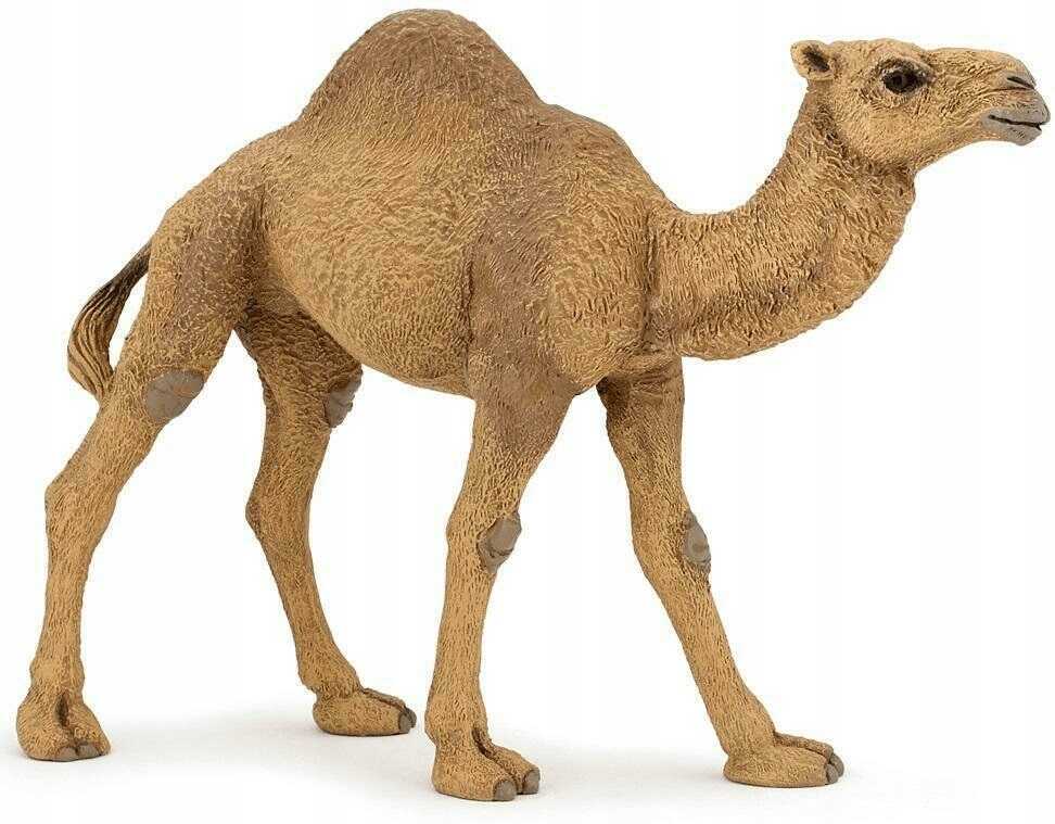 Dromader zabawki Dromader zabawki