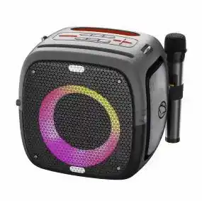 Głośnik 100W Głośnik 100W