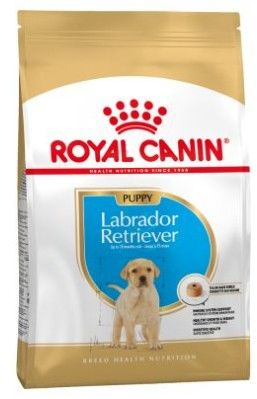 Karma dla labradora Karma dla labradora