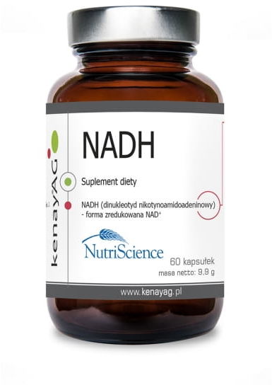 Nadh+ Nadh+