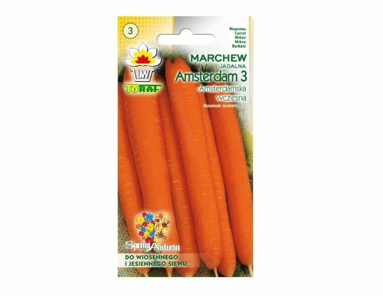 Nasiona marchwi Nasiona marchwi