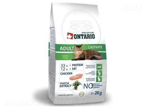 Ontario karma dla kota Ontario karma dla kota